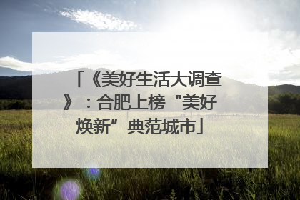 《美好生活大调查》：合肥上榜“美好焕新”典范城市