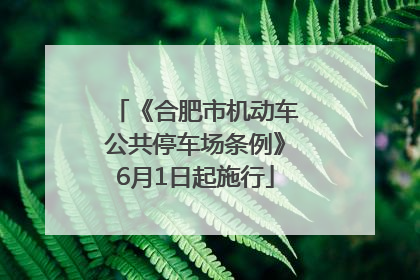 《合肥市机动车公共停车场条例》6月1日起施行