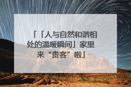 「人与自然和谐相处的温暖瞬间」家里来“贵客”啦