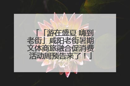 「游在盛夏 嗨到老街」咸阳老街暑期文体商旅融合促消费活动周预告来了！