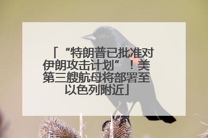 “特朗普已批准对伊朗攻击计划”！美第三艘航母将部署至以色列附近
