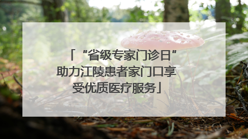 “省级专家门诊日”助力江陵患者家门口享受优质医疗服务