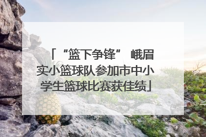 “篮下争锋” 峨眉实小篮球队参加市中小学生篮球比赛获佳绩