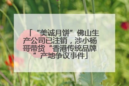“美诚月饼”佛山生产公司已注销，涉小杨哥带货“香港传统品牌”产地争议事件