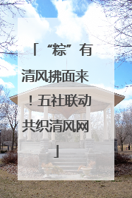 “粽”有清风拂面来！五社联动共织清风网