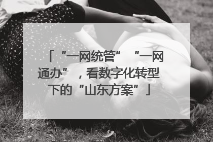 “一网统管”“一网通办”，看数字化转型下的“山东方案”