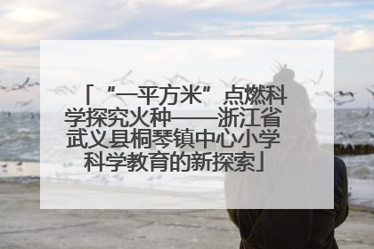 “一平方米”点燃科学探究火种——浙江省武义县桐琴镇中心小学科学教育的新探索