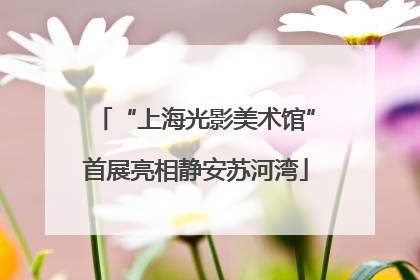 “上海光影美术馆”首展亮相静安苏河湾