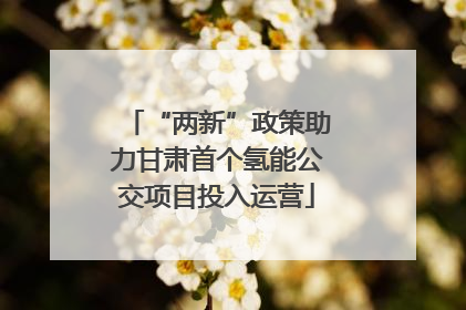 “两新”政策助力甘肃首个氢能公交项目投入运营
