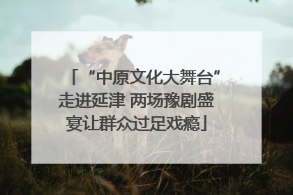 “中原文化大舞台”走进延津 两场豫剧盛宴让群众过足戏瘾