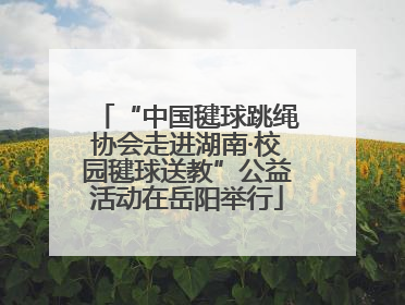 “中国毽球跳绳协会走进湖南·校园毽球送教”公益活动在岳阳举行