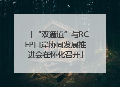 “双通道”与RCEP口岸协同发展推进会在怀化召开