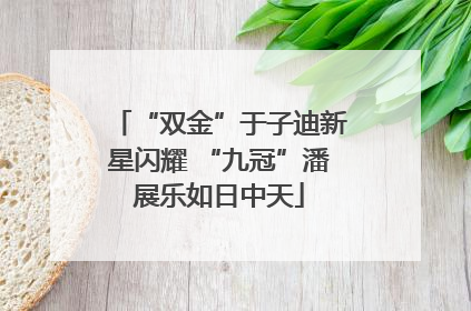 “双金”于子迪新星闪耀 “九冠”潘展乐如日中天