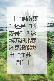 “叫南哥”还是“叫苏哥”？这场苏超比赛还是没能决出“江苏一哥”