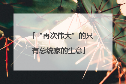 “再次伟大”的只有总统家的生意