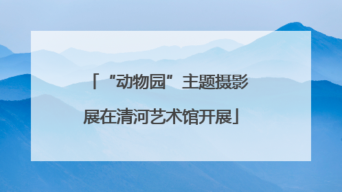 “动物园”主题摄影展在清河艺术馆开展
