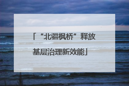 “北疆枫桥”释放基层治理新效能