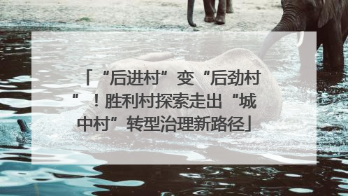 “后进村”变“后劲村”！胜利村探索走出“城中村”转型治理新路径