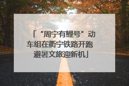 “周宁有鲤号”动车组在衢宁铁路开跑 避暑文旅迎新机
