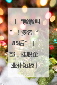 “嗷嗷叫”！多名“85后”干部，挂职企业补短板
