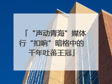 “声动青海”媒体行“扣响”暗格中的千年吐蕃王冠