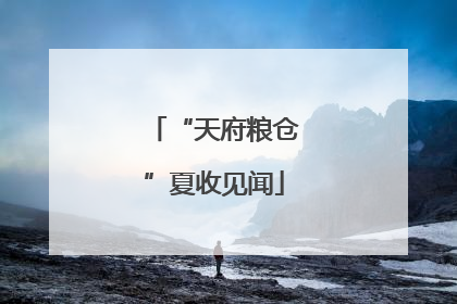 “天府粮仓”夏收见闻