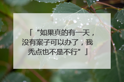 “如果真的有一天，没有案子可以办了，我秃点也不是不行”