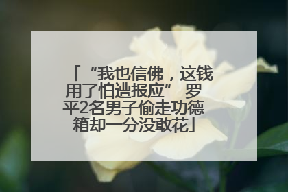 “我也信佛，这钱用了怕遭报应” 罗平2名男子偷走功德箱却一分没敢花