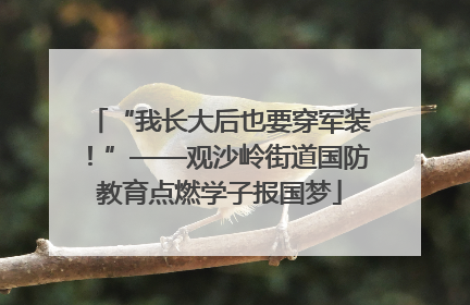 “我长大后也要穿军装！”——观沙岭街道国防教育点燃学子报国梦