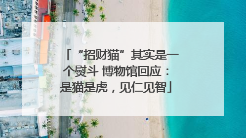 “招财猫”其实是一个熨斗 博物馆回应：是猫是虎，见仁见智