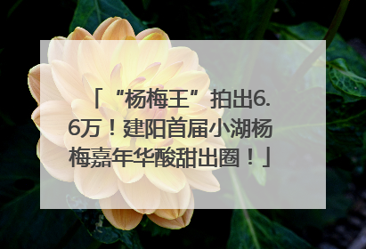 “杨梅王”拍出6.6万！建阳首届小湖杨梅嘉年华酸甜出圈！