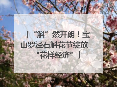 “斛”然开朗！宝山罗泾石斛花节绽放“花样经济”