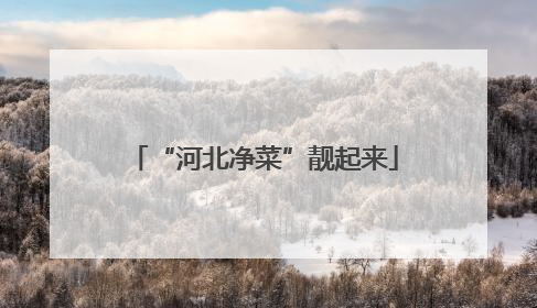 “河北净菜”靓起来