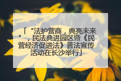“法护营商，典亮未来”，民法典进园区暨《民营经济促进法》普法宣传活动在长沙举行
