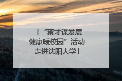 “聚才谋发展 健康暖校园”活动走进沈阳大学