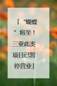 “蝴蝶”将至！三亚此类项目已暂停营业