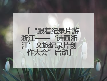 “跟着纪录片游浙江——‘诗画浙江’文旅纪录片创作大会”启动
