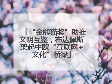“金熊猫奖”助推文明互鉴，布达佩斯架起中欧“互联网+文化”桥梁