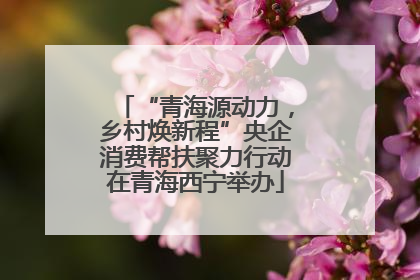 “青海源动力，乡村焕新程”央企消费帮扶聚力行动在青海西宁举办