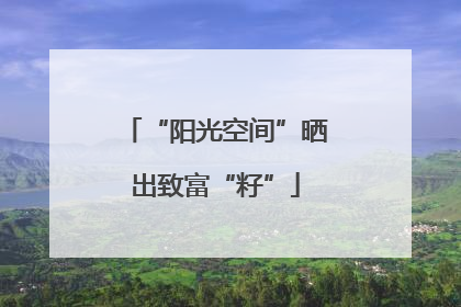 “阳光空间”晒出致富“籽”