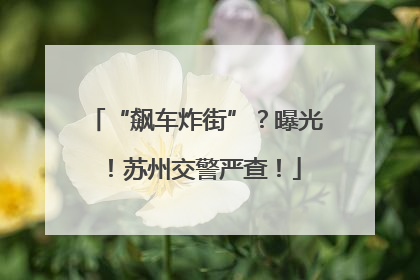 “飙车炸街”？曝光！苏州交警严查！