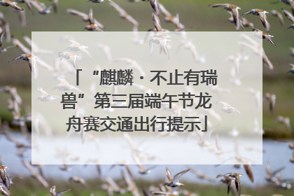 “麒麟・不止有瑞兽”第三届端午节龙舟赛交通出行提示