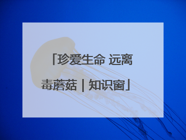 珍爱生命 远离毒蘑菇｜知识窗