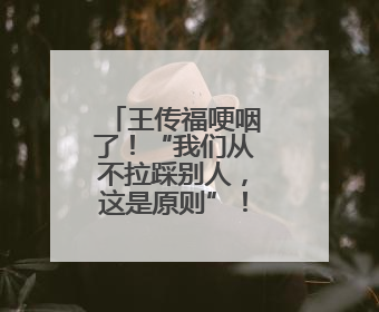 王传福哽咽了！“我们从不拉踩别人，这是原则”！比亚迪：我们不打价格战