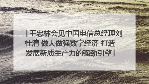 王忠林会见中国电信总经理刘桂清 做大做强数字经济 打造发展新质生产力的强劲引擎