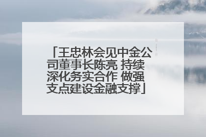 王忠林会见中金公司董事长陈亮 持续深化务实合作 做强支点建设金融支撑
