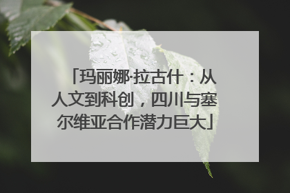 玛丽娜·拉古什：从人文到科创，四川与塞尔维亚合作潜力巨大