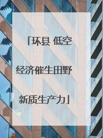 环县 低空经济催生田野新质生产力