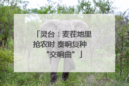 灵台：麦茬地里抢农时 奏响复种“交响曲”