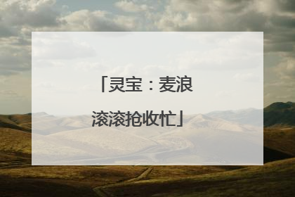 灵宝：麦浪滚滚抢收忙